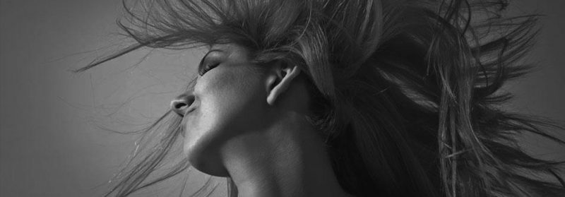 Branding from Hopbug